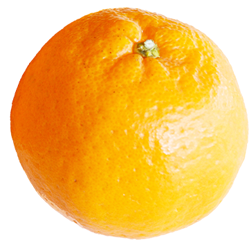 kazuharu　みかん7はるか3ぽんかん2 kazuharu みかん7はるか3ぽんかん2 kazuharu みかん7はるか3ぽん