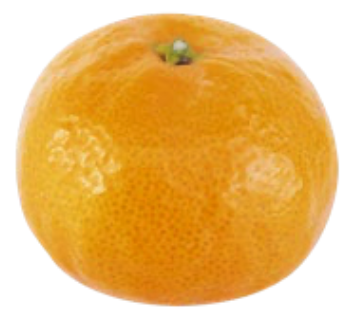 早生みかん
