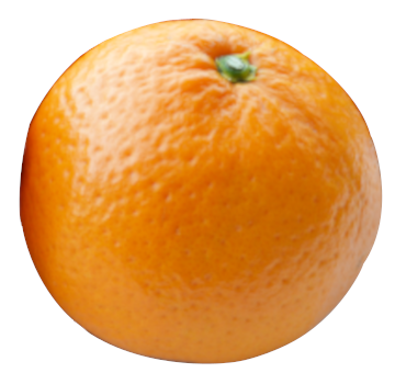 清見オレンジ