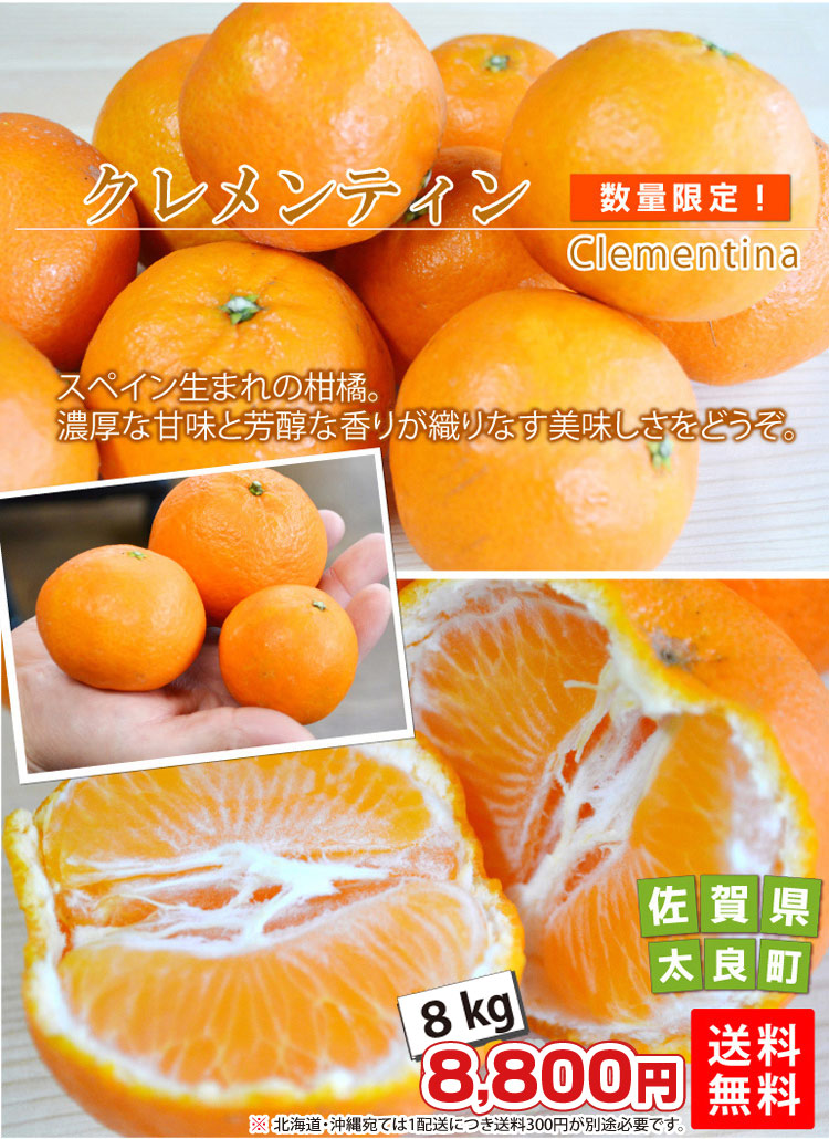 スペイン生まれの柑橘】クレメンティン☆Clementina☆ 8kg