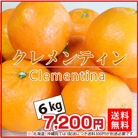 クレメンティン9ｋｇ