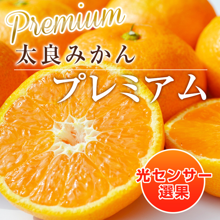<b>太良みかん プレミアム</b><br>★糖度12度以上★光センサーで１つ１つ糖度、酸度を測ってお届けします。濃厚な味わいの高級みかんです。