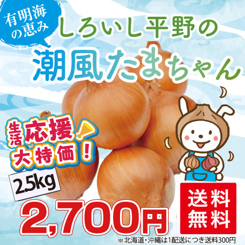 たまねぎ2.5kg
