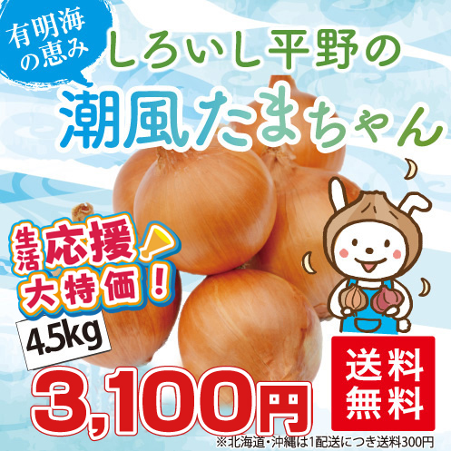 たまねぎ4.5kg