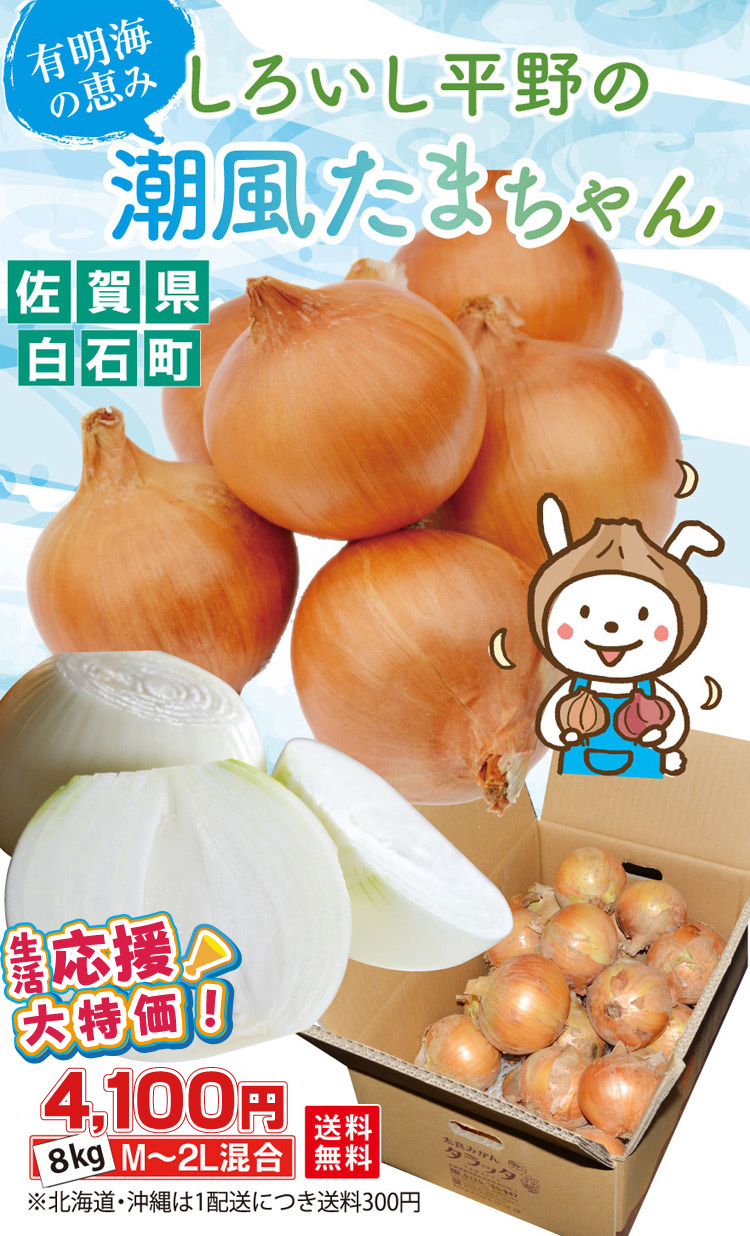 ☆生活応援！大特価！！☆しろいし平野の「潮風たまちゃん8㎏」＜佐賀
