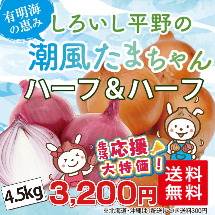 ★生活応援！大特価！！★しろいし平野の「ハーフ＆ハーフ 潮風 赤＆たまちゃん 4.5kg」＜佐賀県白石町ふくどみ産＞