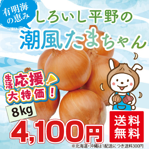 たまねぎ8kg
