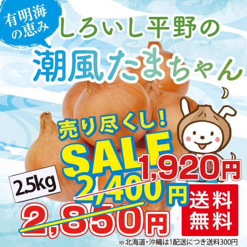 たまねぎ2.5kg