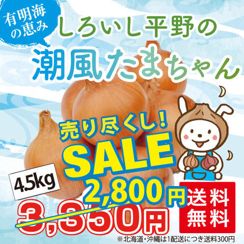 たまねぎ4.5kg