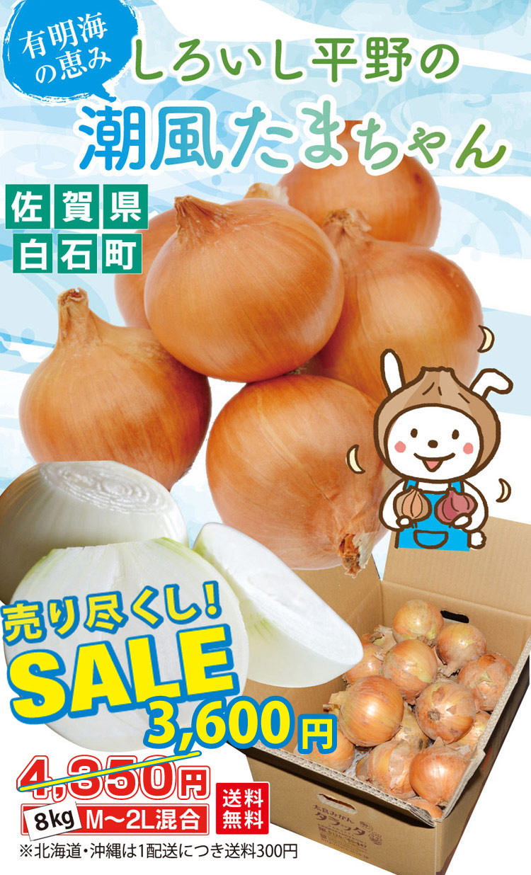 たまねぎ様✨ 中生(ヒーローZ他)[玉葱苗] - e-種や｜国内最大級の野菜種・花種