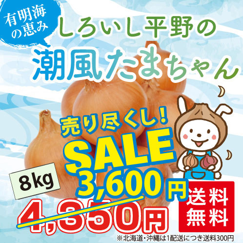 たまねぎ8kg