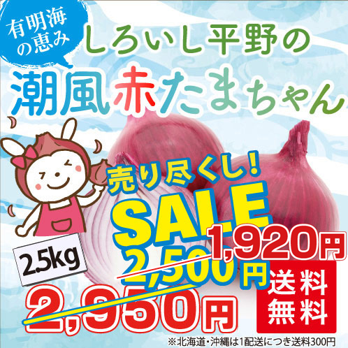 たまねぎ2.5kg