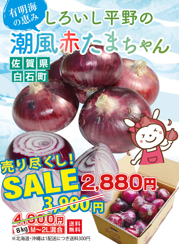 しらたま 0361-001.jpg