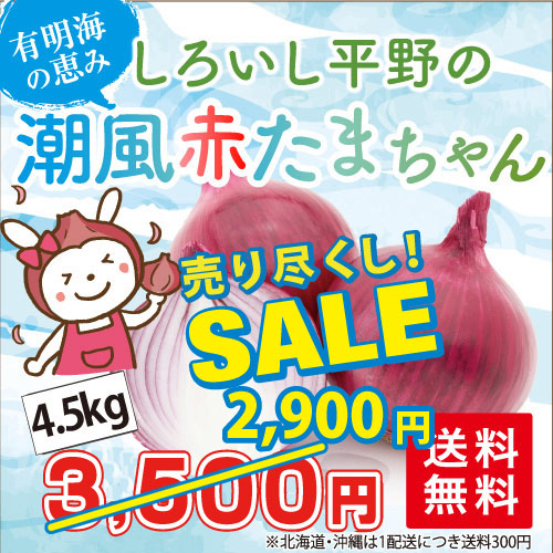 たまねぎ4.5kg