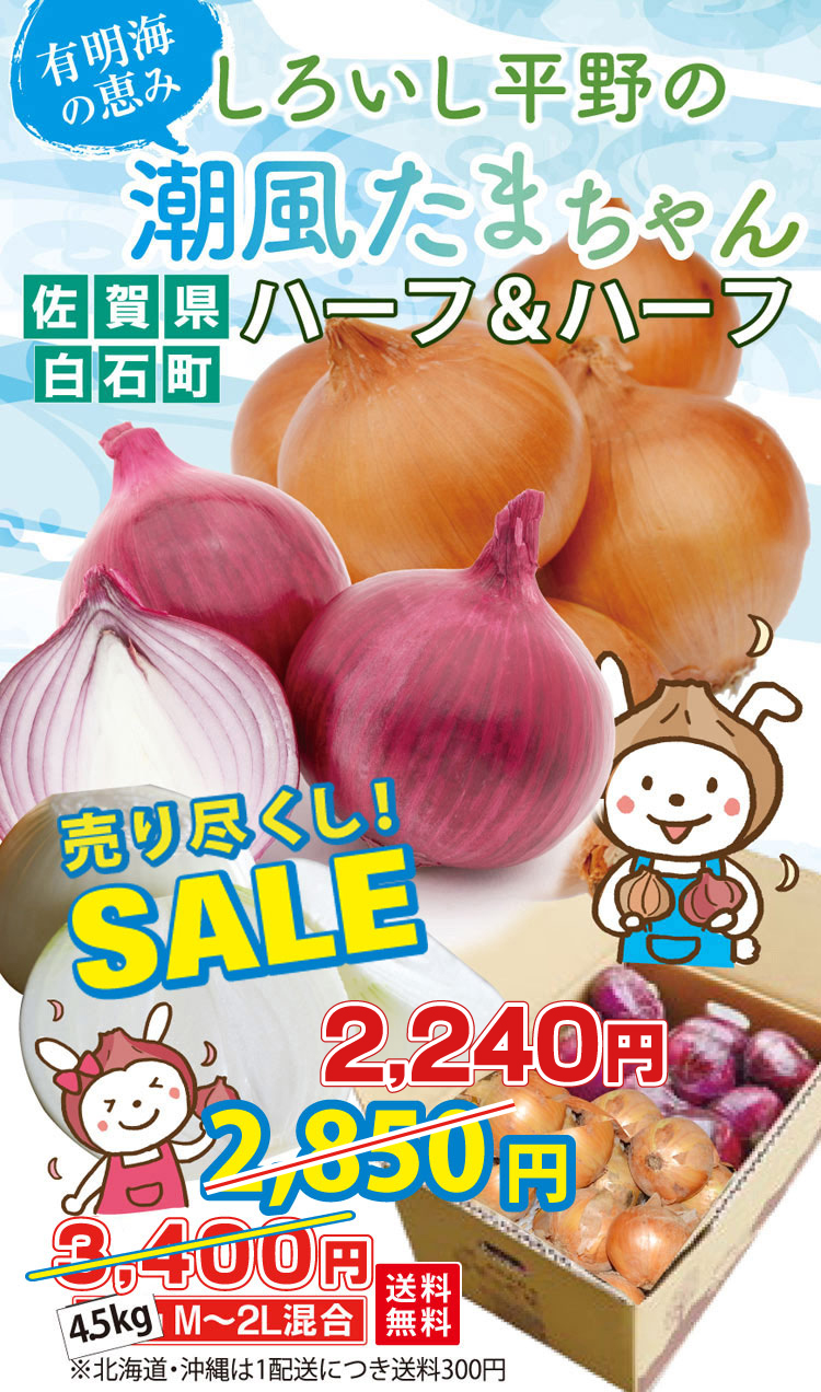 たまねぎハーフ&ハーフ4.5kg