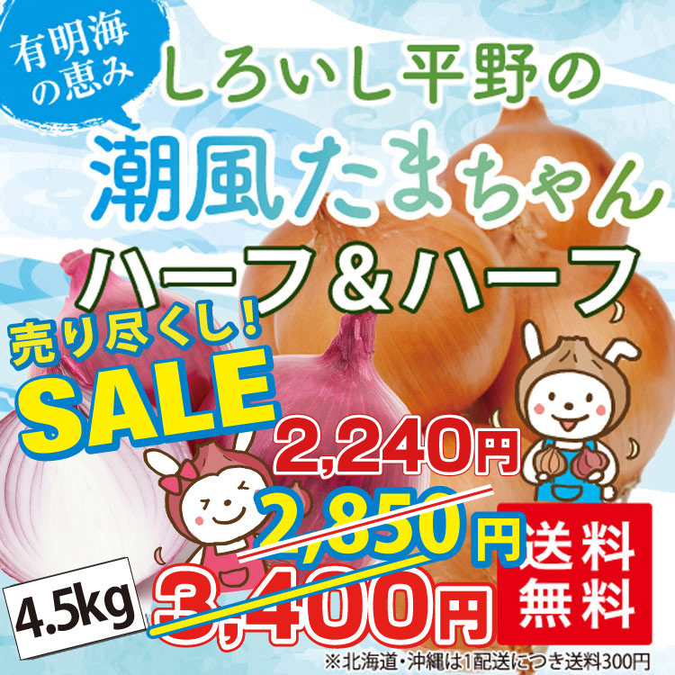 SALE！売り尽くし割引中！！しろいし平野の「ハーフ＆ハーフ 潮風 赤＆たまちゃん 4.5kg」＜佐賀県白石町ふくどみ産＞