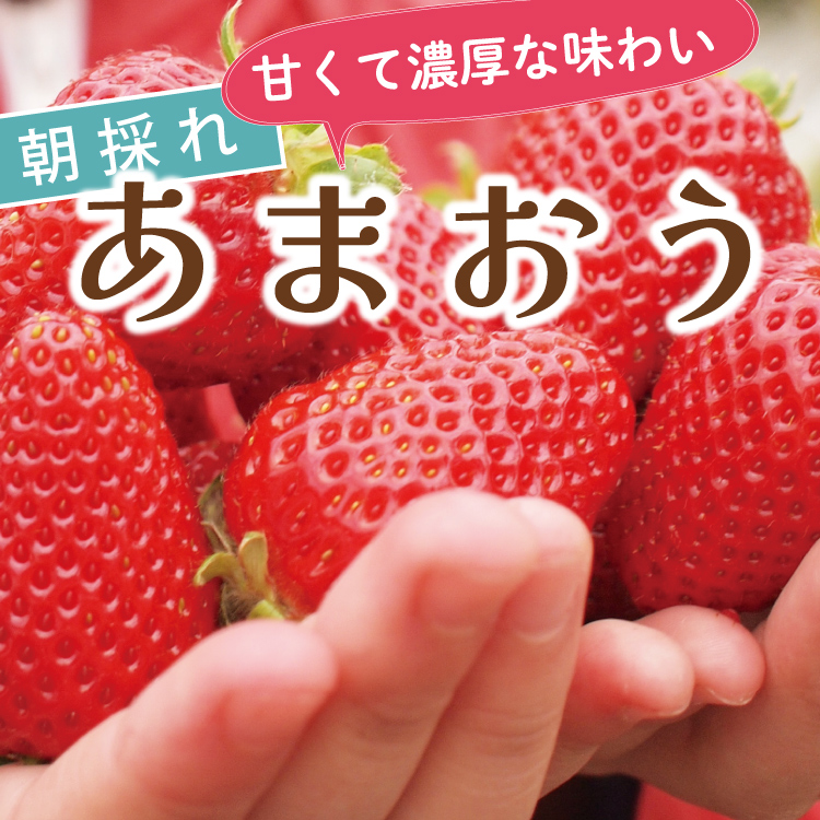 いちご あまおう