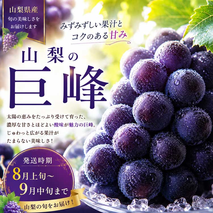 大粒！濃厚果汁★山梨巨峰★（2房入・約1.2kg）