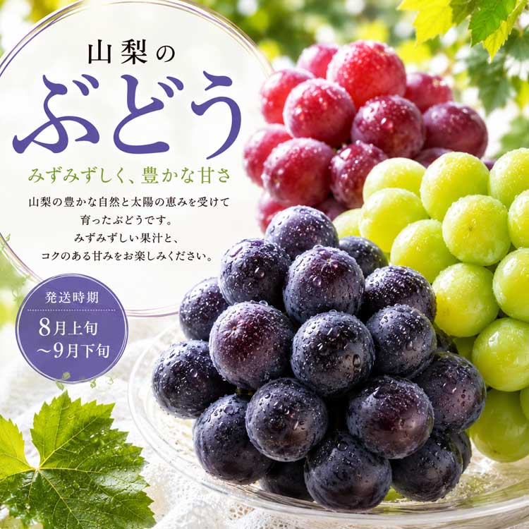 <b><font color=