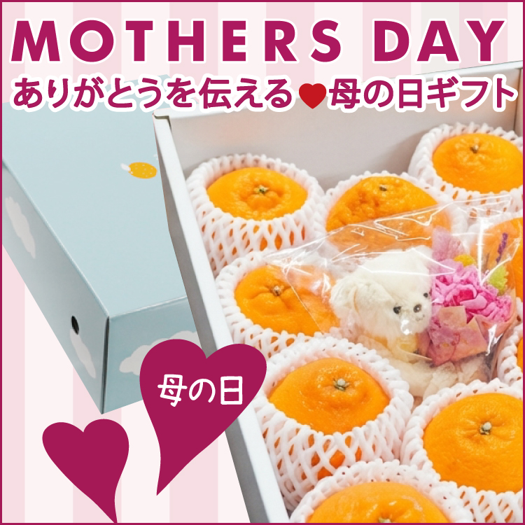 <b>★母の日ギフト★いつもの感謝を込めて♪</b><br><font color=#ff6347>5/7～5/10のお届け</font><br>完熟デコとクマのキーホルダー、枯れないお花プリザーブドフラワーのセットです。感謝を込めでどうぞ♪