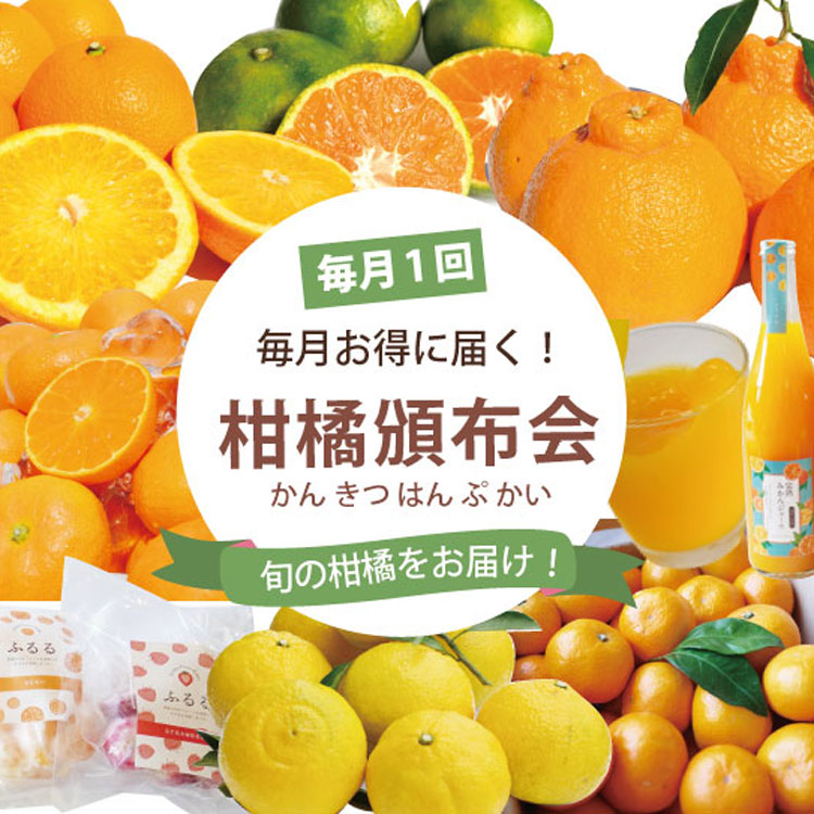 ★毎月１回★違うカンキツが届く、楽しみいっぱいの頒布会＜４１８０円＞