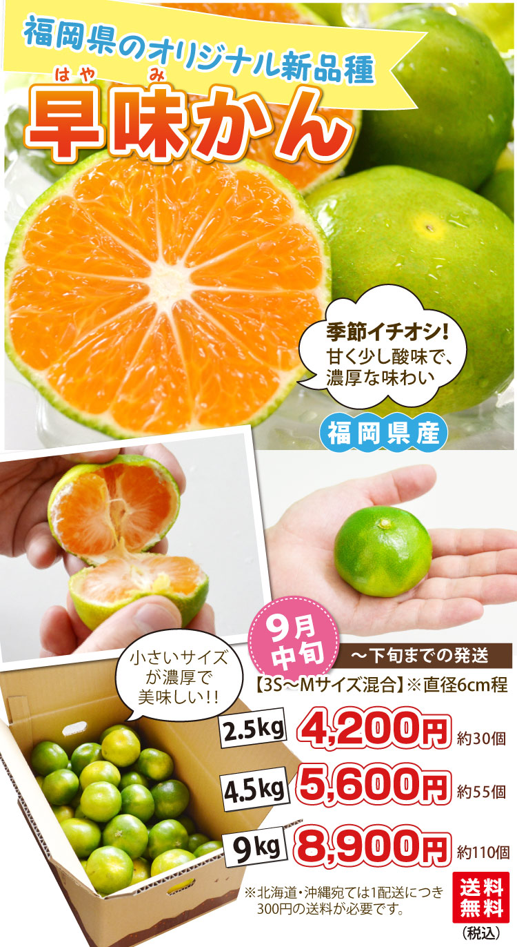 早味かん