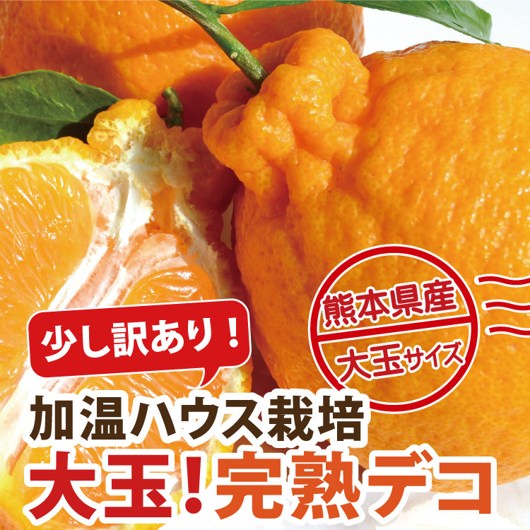 <b>【少し訳あり】★本加温★完熟！ハウスデコ～しらぬい～</b><br><b>★12月中旬頃からの発送★</b><br>12月に旬を迎えるように、ハウスの中で温度を管理して育てました！果汁たっぷりで、香り高く、ひと房ごとに濃厚な甘みが広がります。