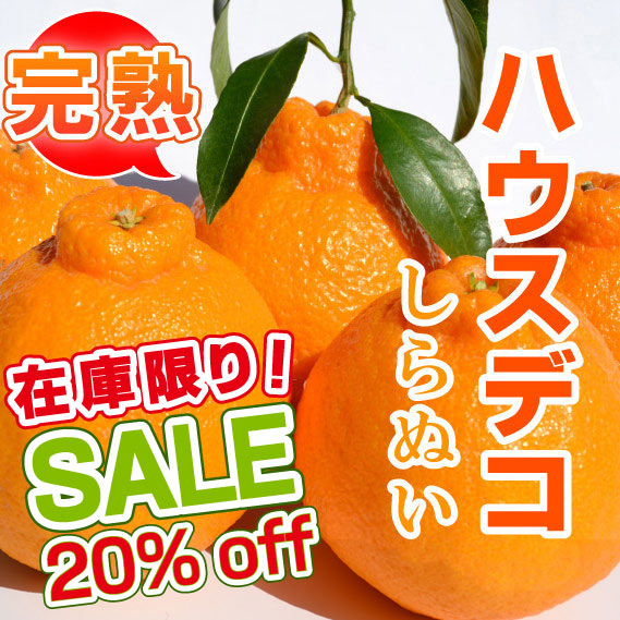 ★アウトレット★ハウスデコ　しらぬい　画像