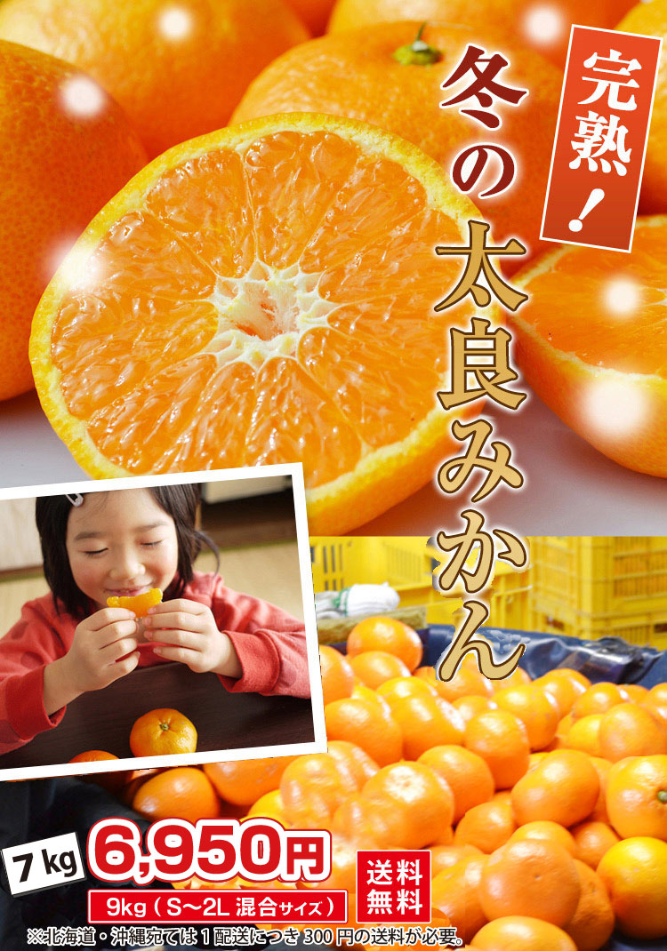 高糖度で濃厚！】完熟！冬の太良ミカン 7kg