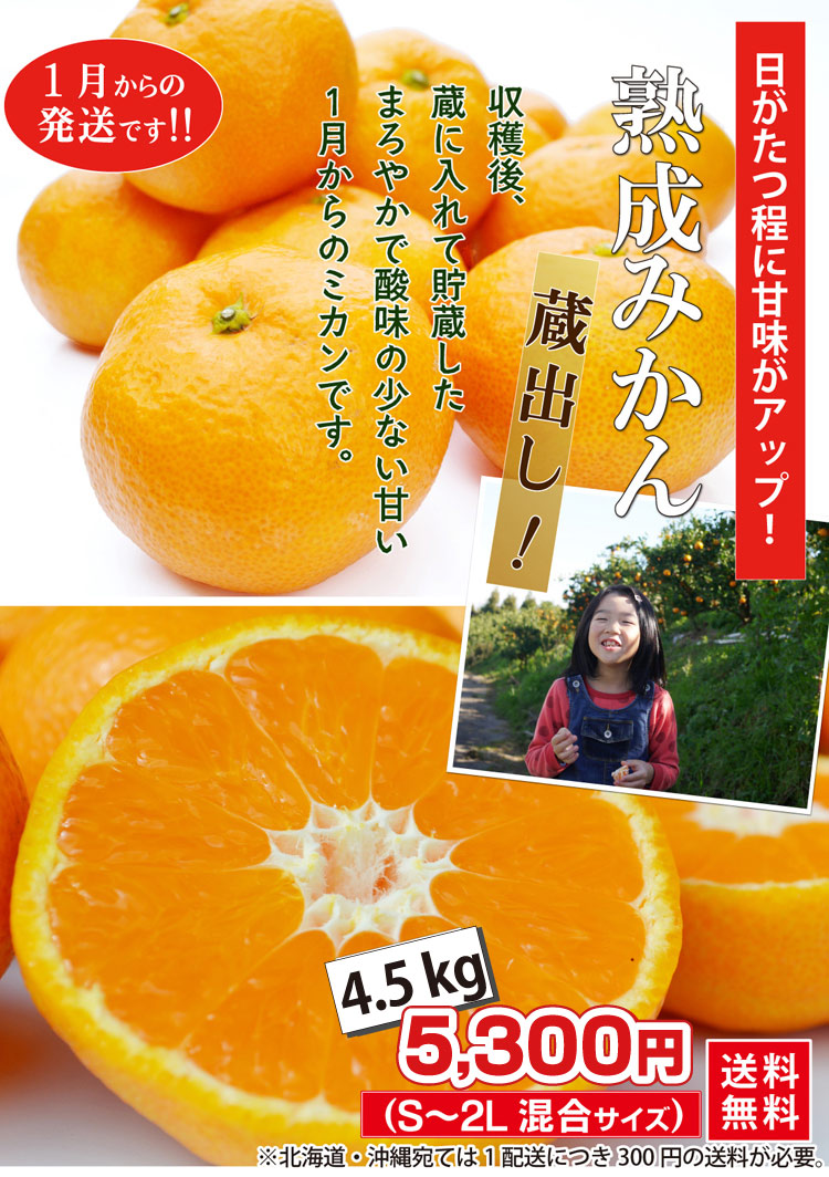 蔵出し！熟成みかん 4.5kg（温州みかん）