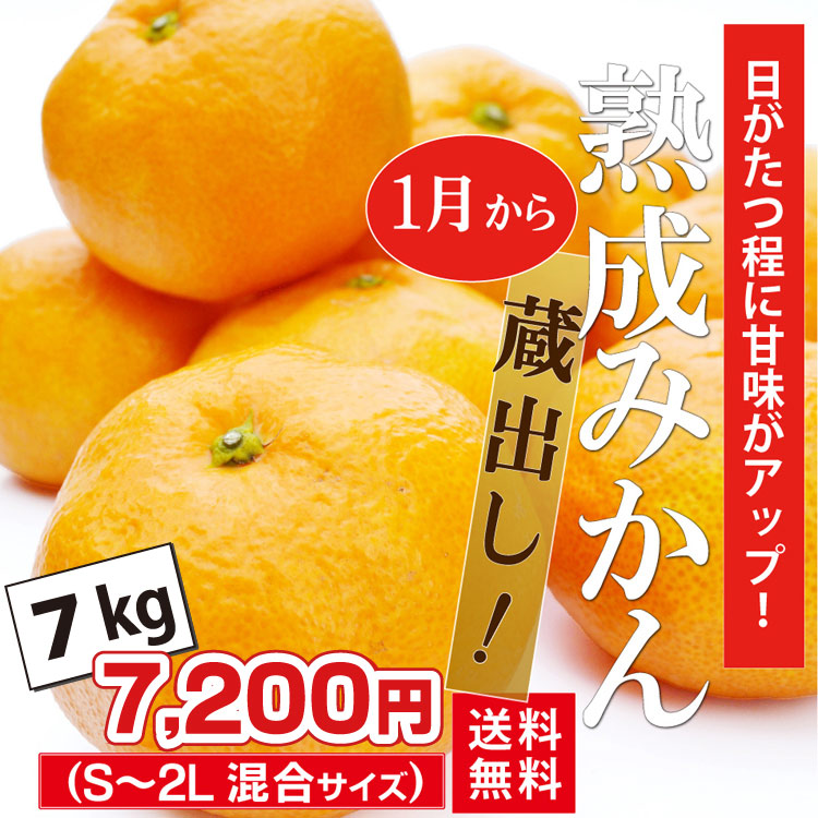 【みかん】 秀品】 和歌山産 有田のせとか 2.5㎏ サイズ混合 - 内芝ファーム
