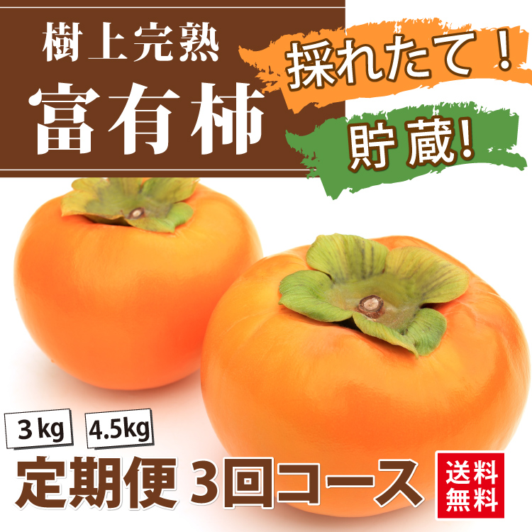 ＜定期便＞樹上完熟！★富有柿 ★定期便 3回コース【福岡県産】