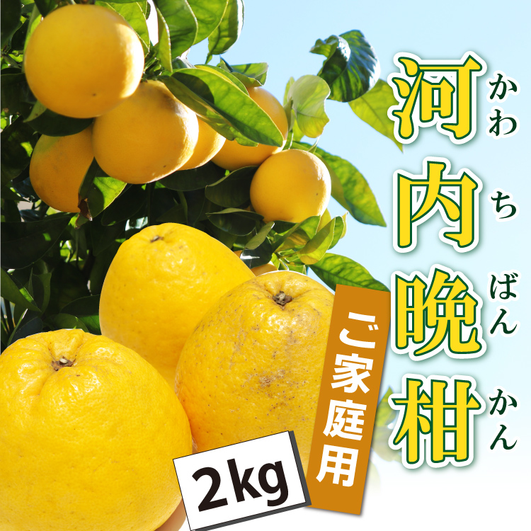 河内晩柑2kg