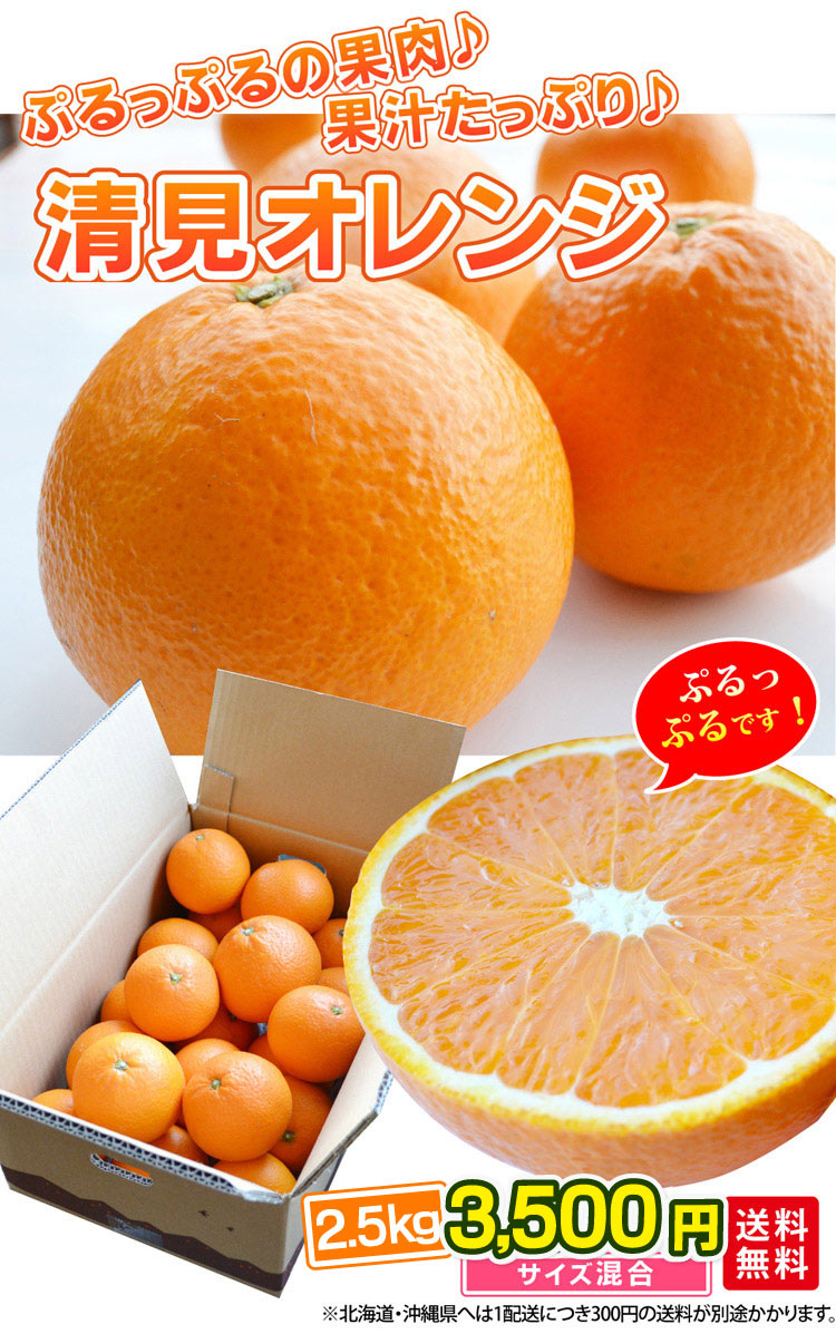 清見オレンジ