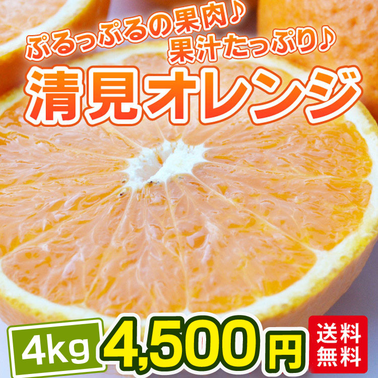 清見オレンジ