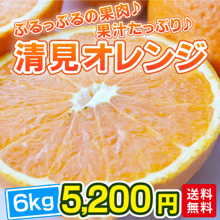 清見オレンジ