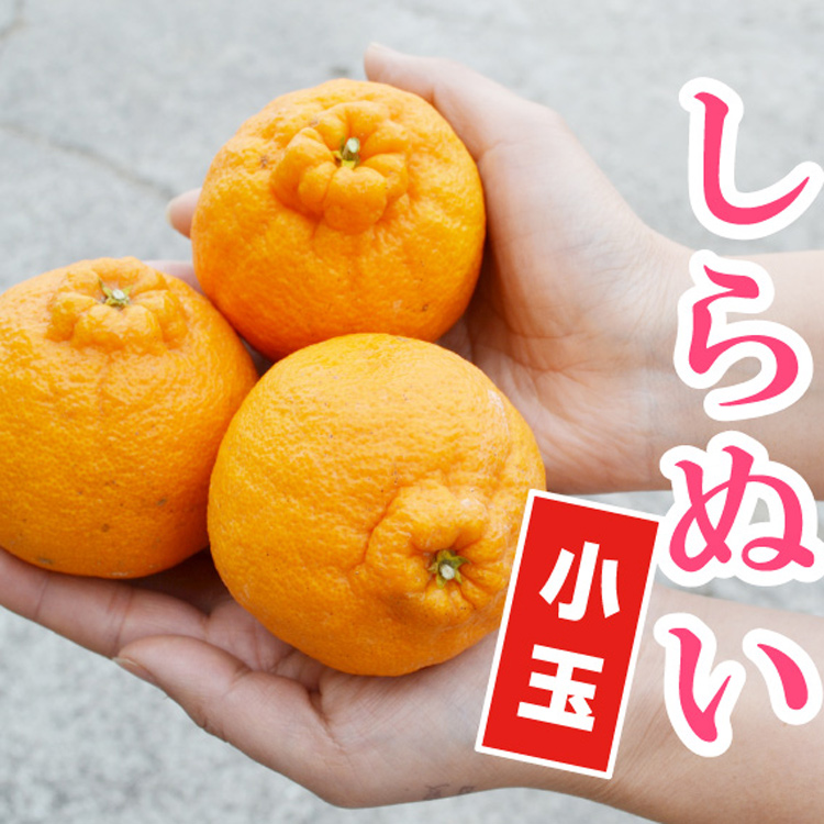 <b>食べきりサイズ★小玉デコ★</b><br>1人でも食べきれる小玉サイズ（Mサイズ）を箱いっぱいに詰めて お届けします！