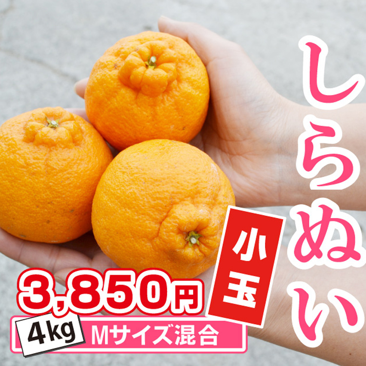 小玉デコ