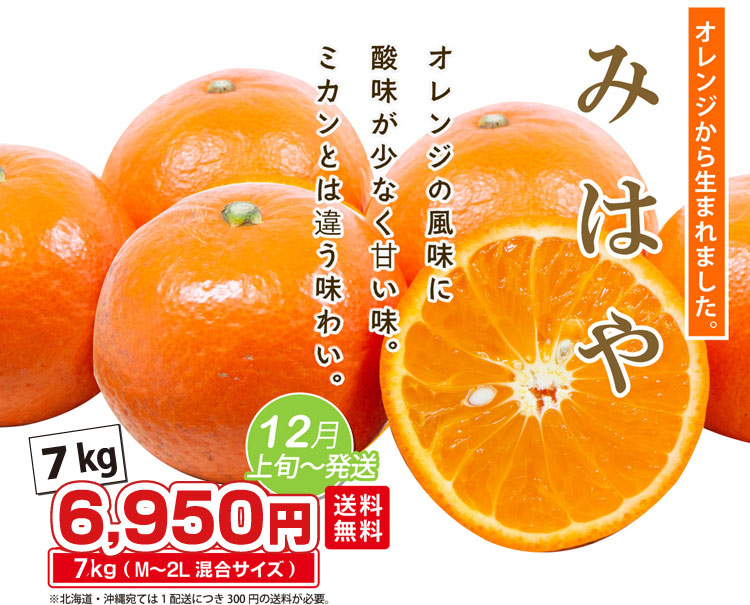 オレンジから生まれました！】☆希少な新品種☆みはや 7kg