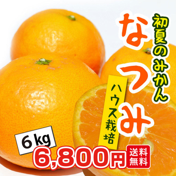 ＜濃厚な美味しさ＞初夏のみかん★なつみ（南津海）6kg★