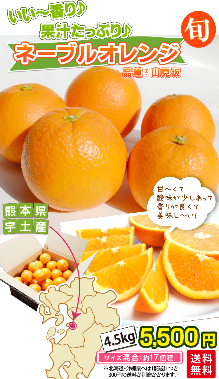 甘くて！少し酸味もあって、香りが良くて！美味しい！／☆ネーブル