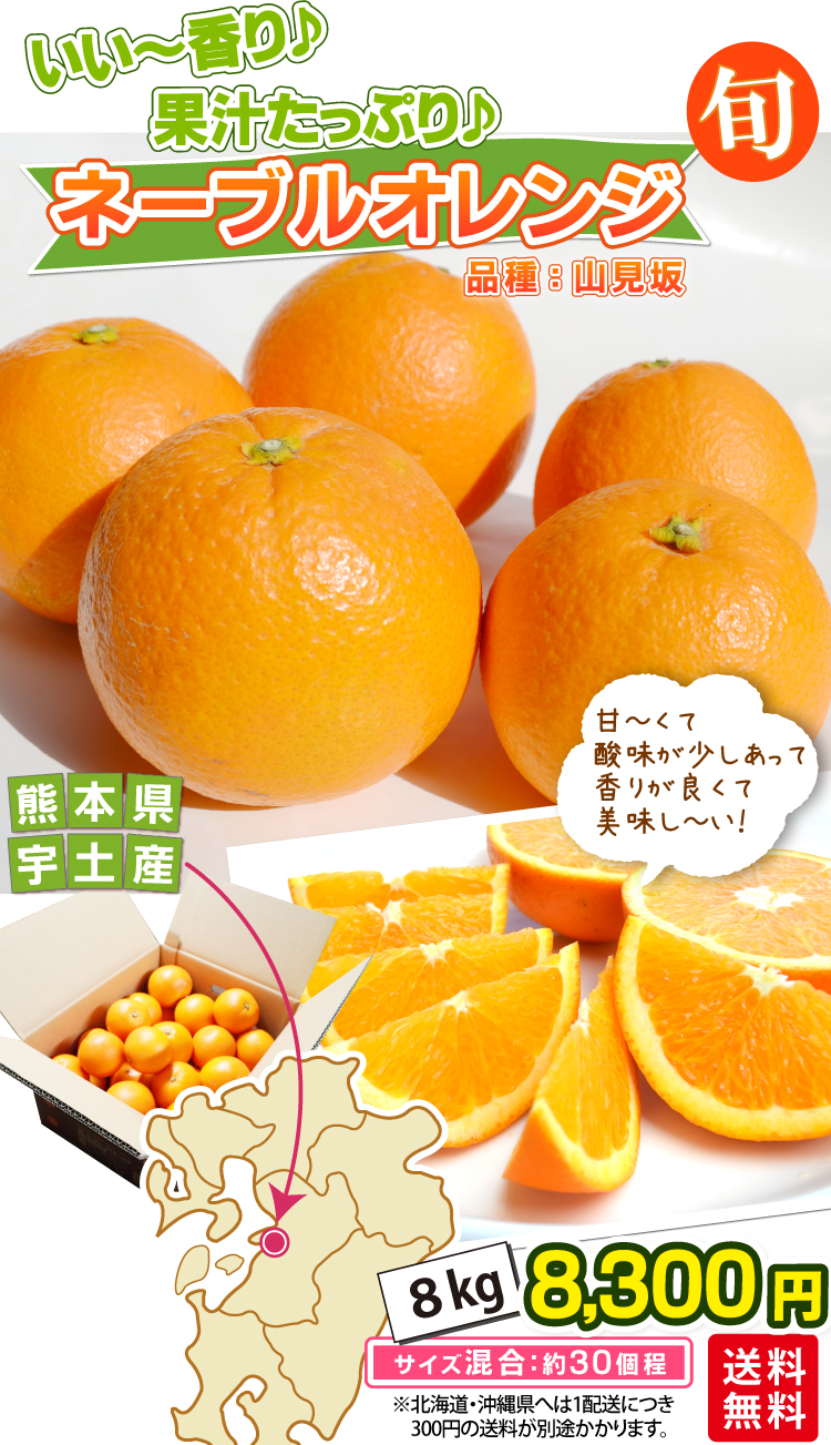 甘くて！少し酸味もあって、香りが良くて！美味しい！／☆ネーブル