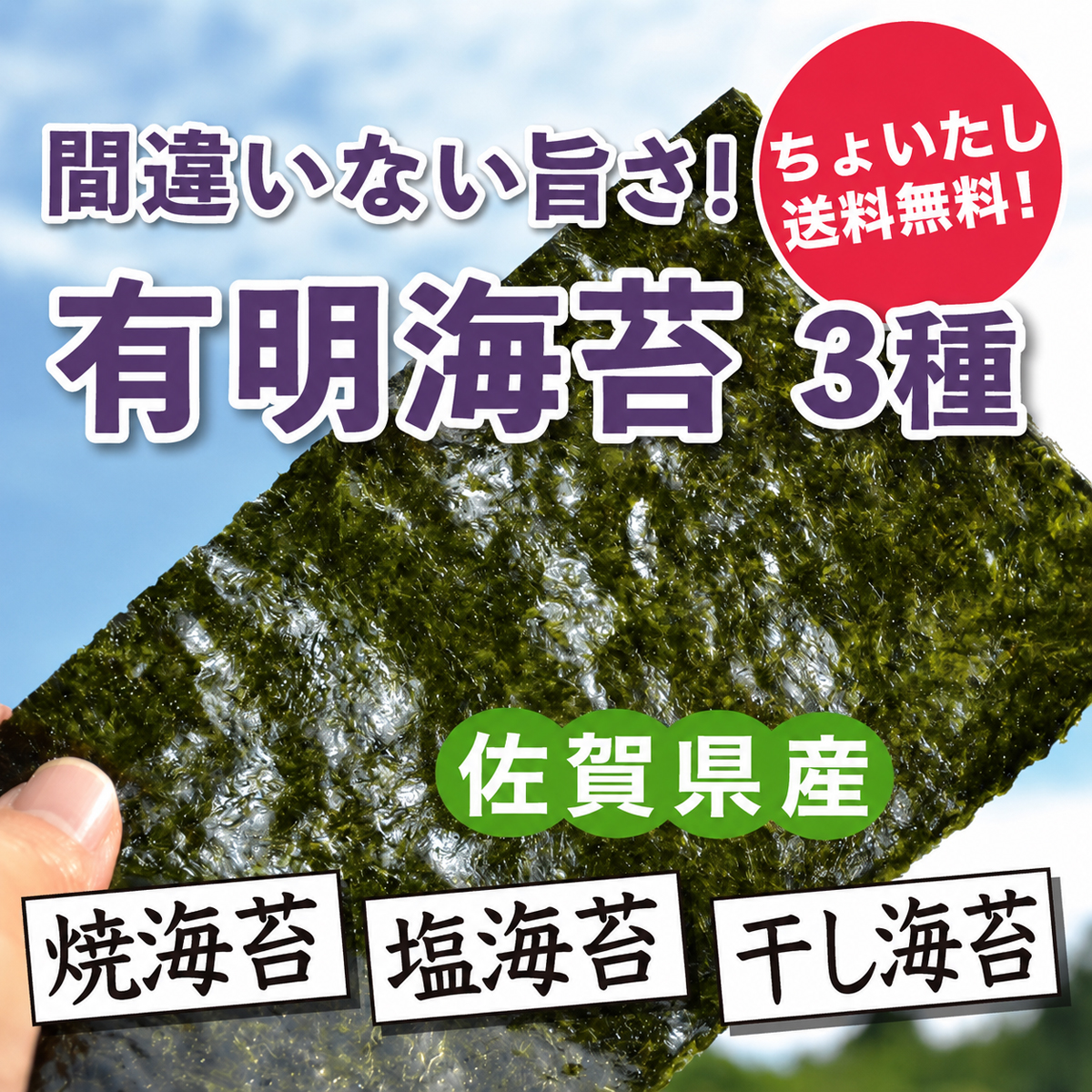 有明海苔3種
