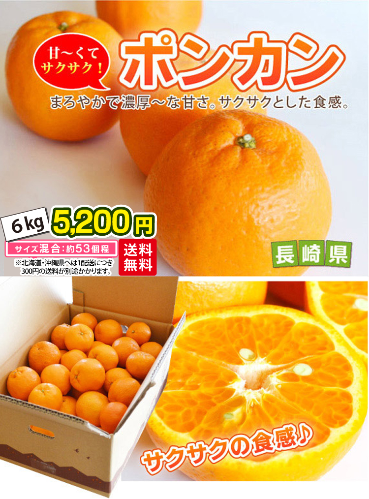 たかんぼ たかぼー たかぼぉ🏍️💨 (@peace.taka.zx14r) • Instagram photos and