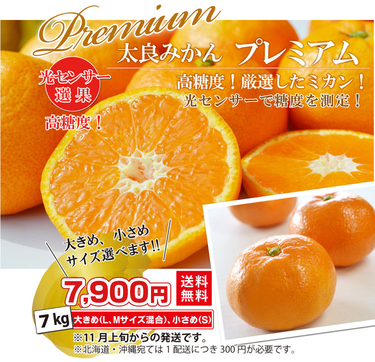 みかん様 光センサー測定で高糖度！＞太良みかん プレミアム 7kg