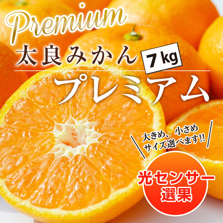 太良みかんプレミアム