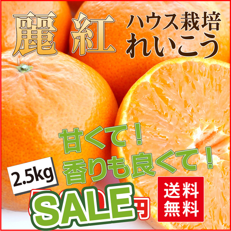 れいこう