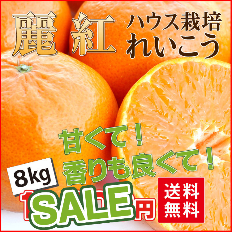 れいこう
