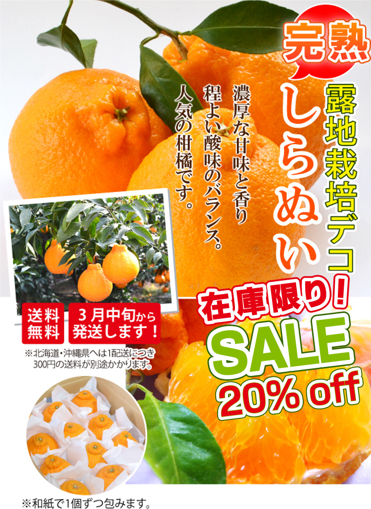 長崎県産　不知火20キロ　#3 長崎県産 不知火20キロ #97 不知火】3kg 岡村農園直送不知火 dp003 | 高知
