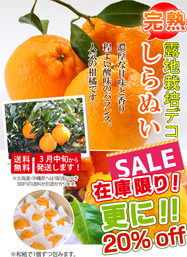 在庫限り！更に 20％Off！！☆セール中！☆【柑橘の王様】露地栽培